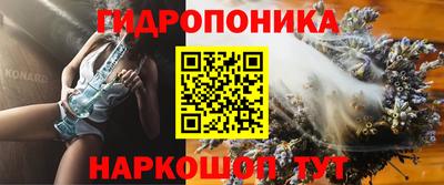 apvp Владикавказ