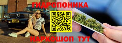 apvp Владикавказ